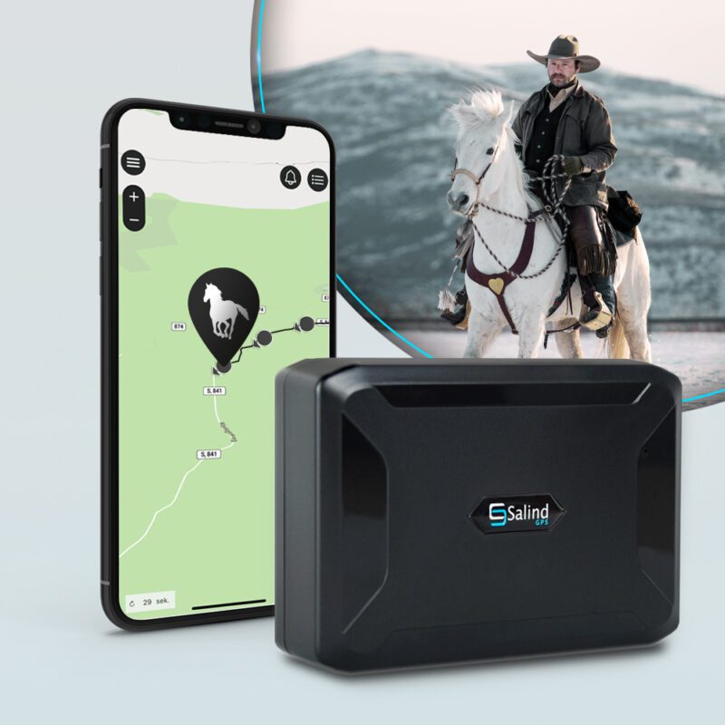 SEO Salind11 Horse 800x800 - GPS tracker horse open stable - for riders for riding